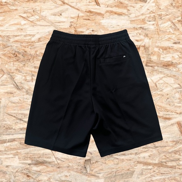 ✔️NWT✔️ NIKE SB Dri-Fit Be True Sunday Shorts - Picture 3 of 11